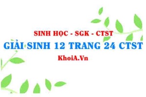 Giải Sinh 12 trang 24 Chân trời Sáng tạo